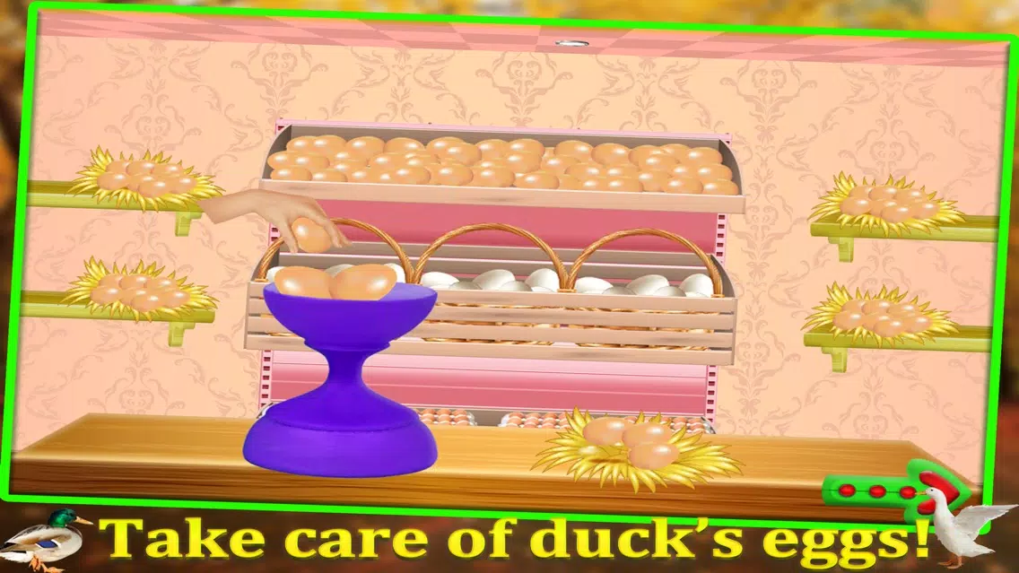 Duckling Pet Care & Hatching- Animal Spa Salon 스크린샷