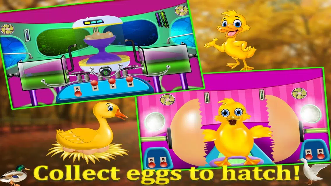Duckling Pet Care & Hatching- Animal Spa Salon 스크린샷