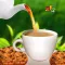 Tea & Biscuit Maker Chef – Kitchen Cooking Game