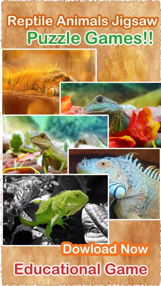 Dragon Puzzles Game Free Animated Jigsaw Puzzle for Kids! स्क्रीनशॉट