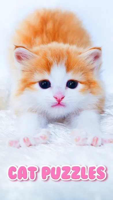 Cat Kitten Jigsaw Puzzle Games Screenshots