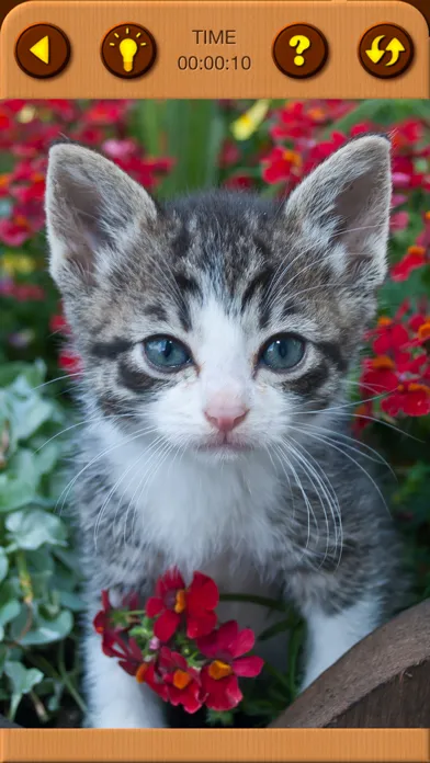 Cat Kitten Jigsaw Puzzle Games Screenshots