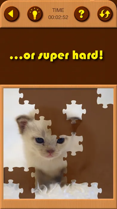 Cat Kitten Jigsaw Puzzle Games Screenshots