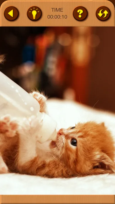Cat Kitten Jigsaw Puzzle Games Screenshots