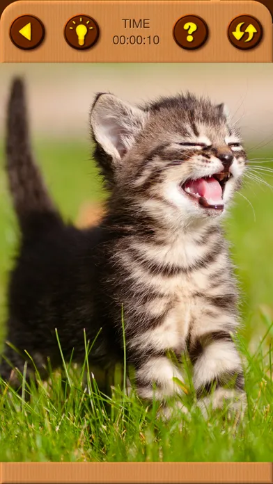 Cat Kitten Jigsaw Puzzle Games Screenshots