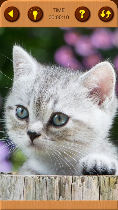 Cat Kitten Jigsaw Puzzle Games Screenshots
