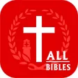 Bibles -(KJV, NIV, NRSV, RSV, ASV, NASV for Study)
