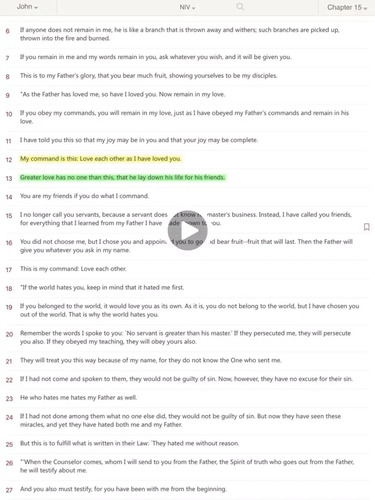 Bibles -(KJV, NIV, NRSV, RSV, ASV, NASV for Study) iPad  स्क्रीनशॉट
