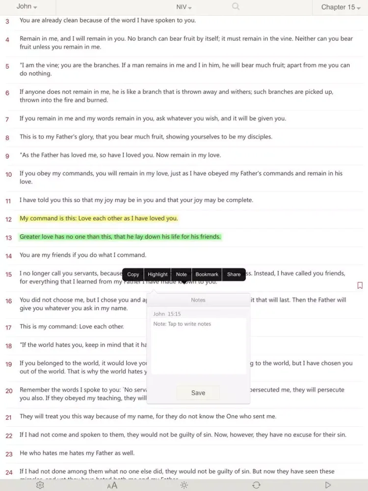 Bibles -(KJV, NIV, NRSV, RSV, ASV, NASV for Study) iPad  स्क्रीनशॉट