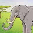 Wild animals in the forest, the jungle and the savannah