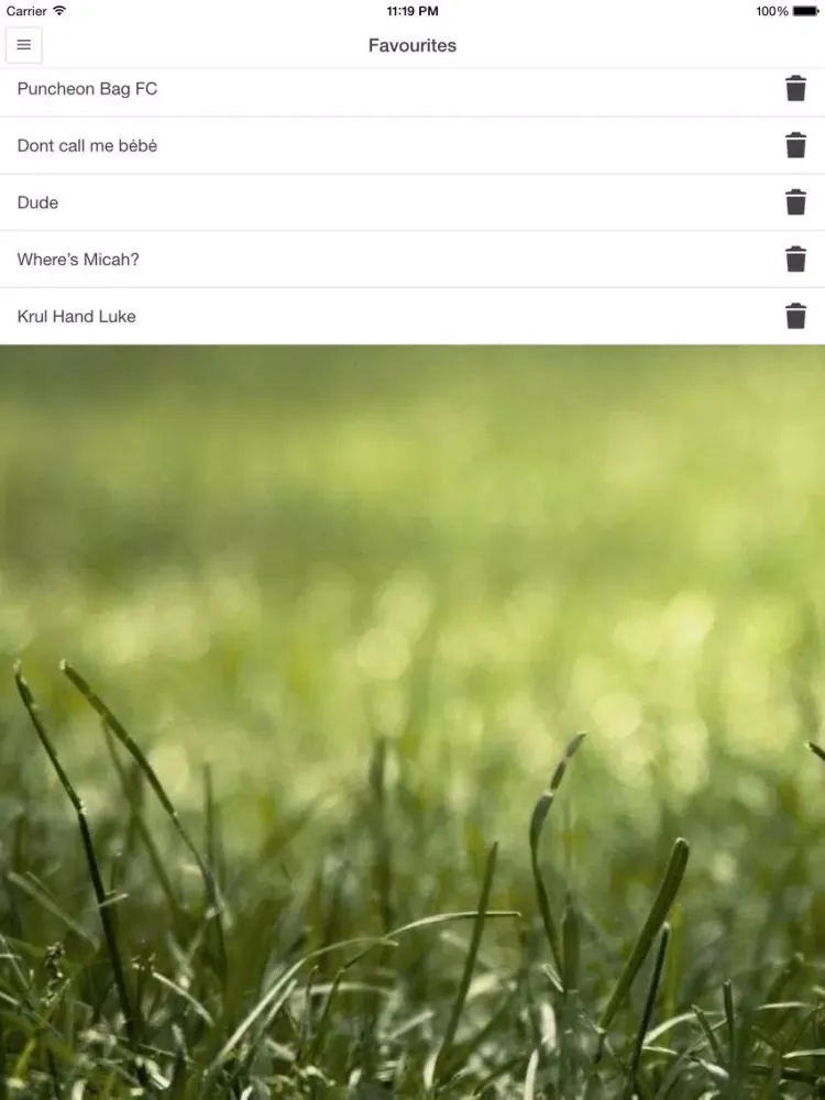Funny Fantasy Football Team Name Generator iPad  Screenshots