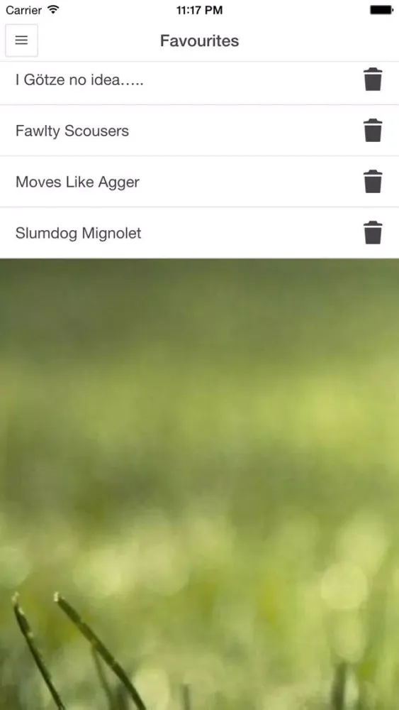Funny Fantasy Football Team Name Generator Screenshots
