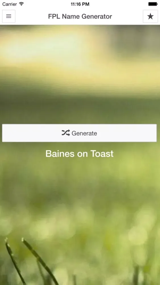 Funny Fantasy Football Team Name Generator Screenshots