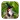 Red-whiskered Bulbul Sounds