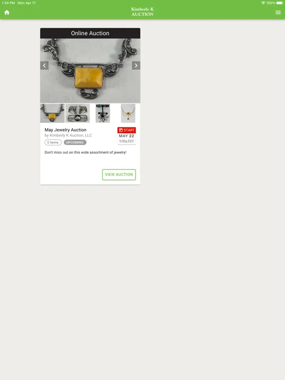 Скриншоты Kimberly K Auction iPad 