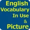 English Vocabulary in Use