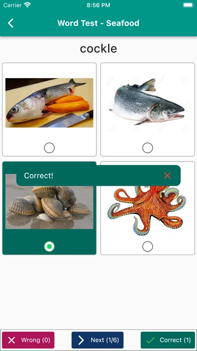 Tangkapan layar English Vocabulary in Use