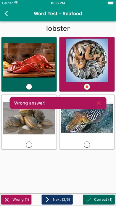 Tangkapan layar English Vocabulary in Use