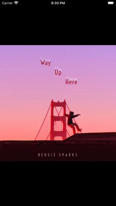MusicBuddy: Vinyl & CD Catalog Screenshots