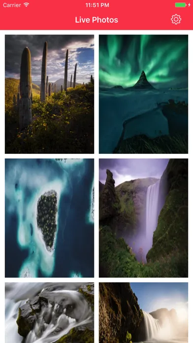 Captures d'écran de Live Photos to GIF - LiveGIFs