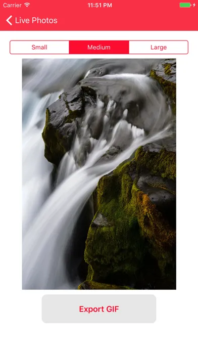Captures d'écran de Live Photos to GIF - LiveGIFs