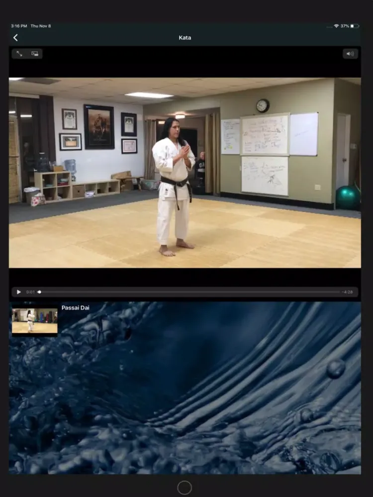 Tangkapan layar Kaizen Dojo iPad 