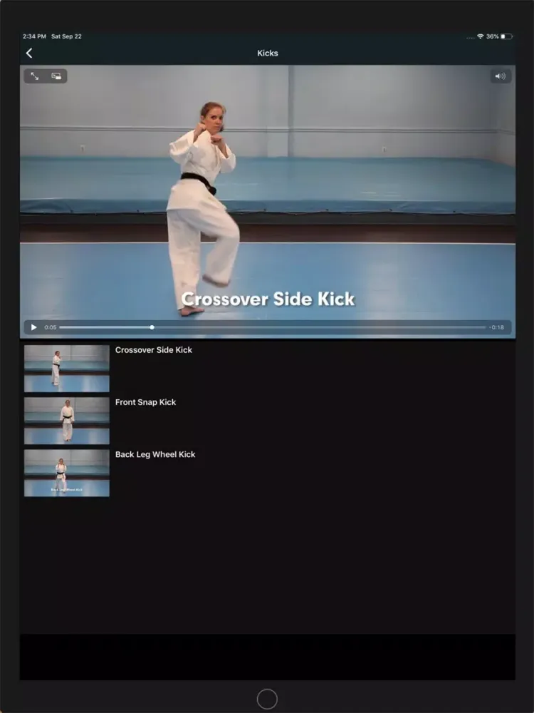 Karate International Coach iPad 應用截圖