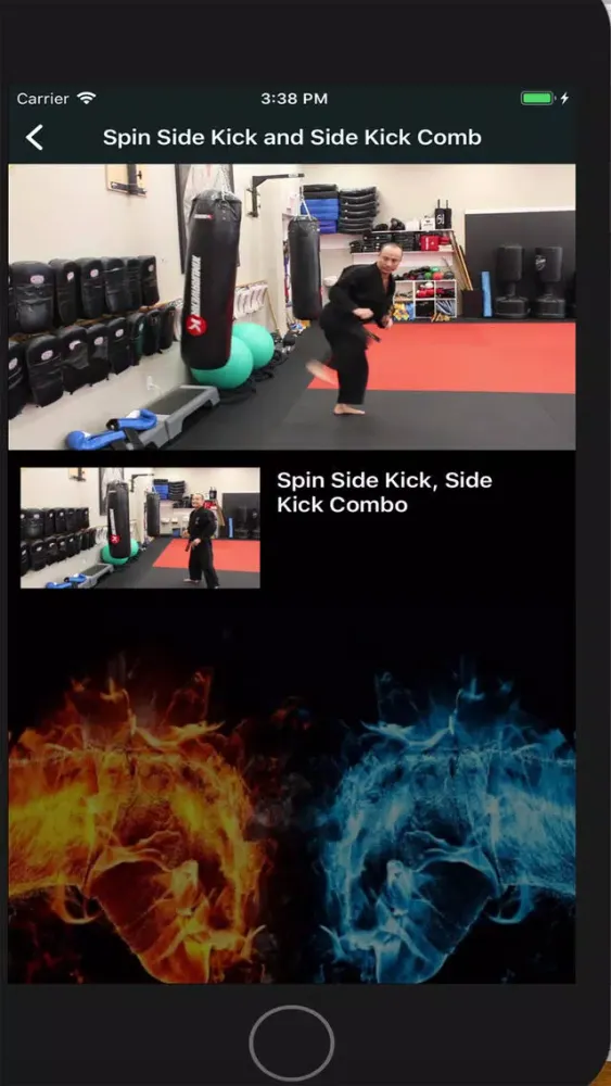 Capturas de pantalla de Lewis Karate Schools