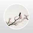 七年之痒-无性婚姻