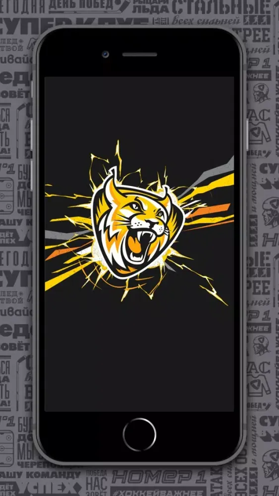 ХК Северсталь Screenshots