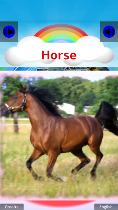 100 ANIMALS PICTURES & SOUNDS スクリーンショット