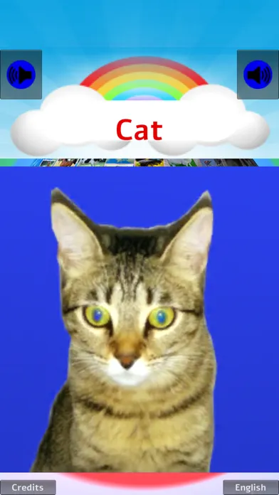 100 ANIMALS PICTURES & SOUNDS スクリーンショット