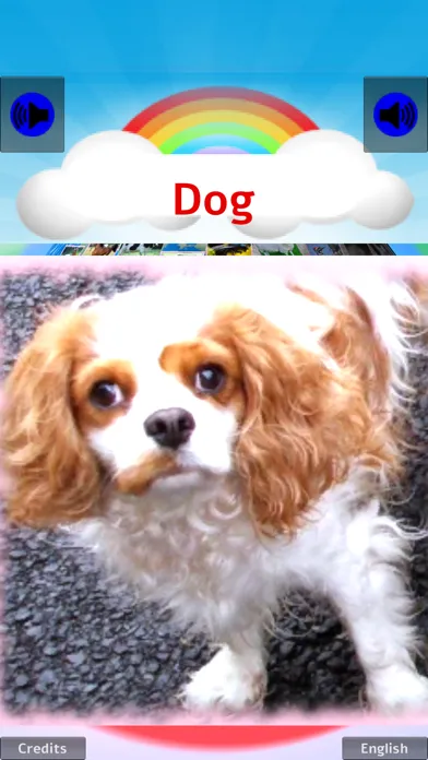 100 ANIMALS PICTURES & SOUNDS スクリーンショット
