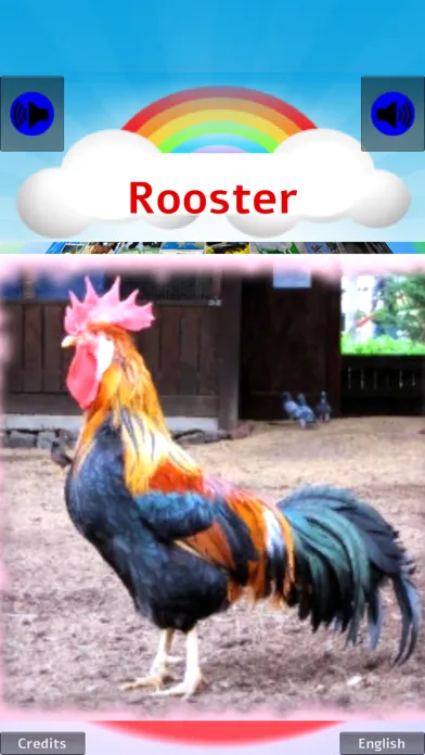 100 ANIMALS PICTURES & SOUNDS スクリーンショット