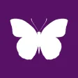 Free Books Butterfly for iBooks, Kindle, Nook, Kobo