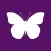 Free Books Butterfly for iBooks, Kindle, Nook, Kobo