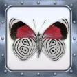 Books for iBooks, Free Books & Book Deals for iBooks