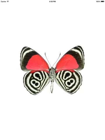 Books for iBooks, Free Books & Book Deals for iBooks iPad  Screenshots