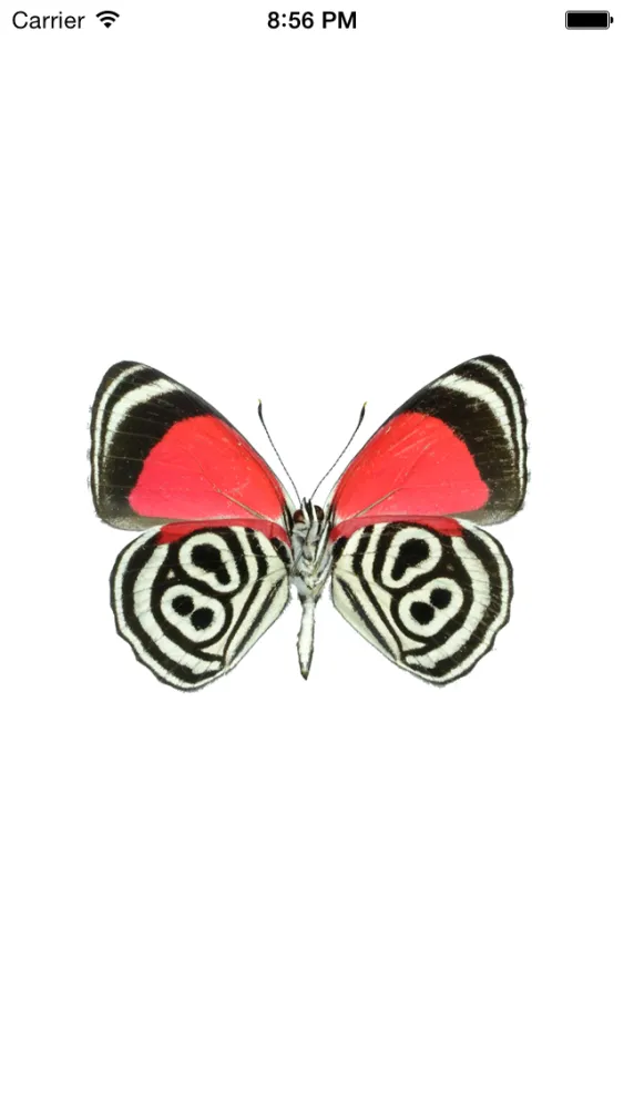 Books for iBooks, Free Books & Book Deals for iBooks Screenshots