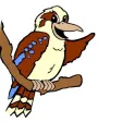Kookaburra ELC