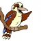 Kookaburra ELC