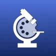 MIDI Scope