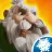Legend of Solgard Legend of Solgard