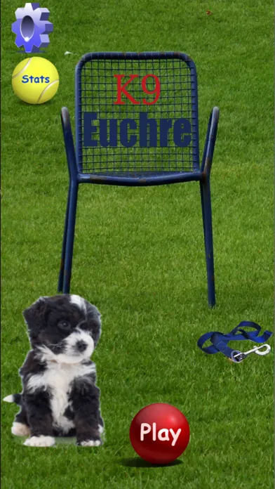 صور K9 Euchre