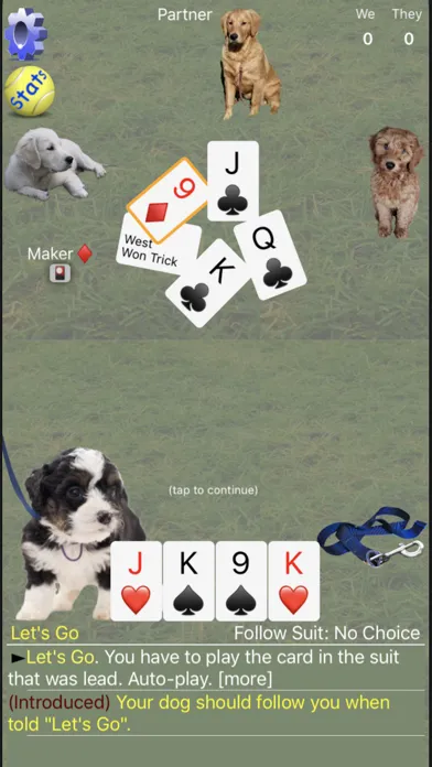 صور K9 Euchre