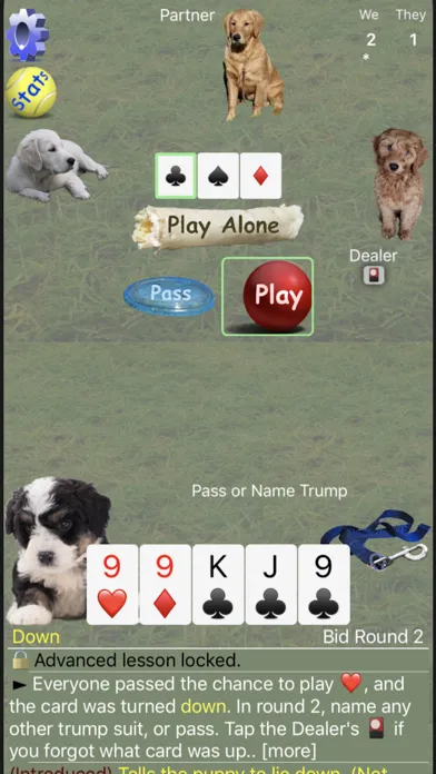 صور K9 Euchre