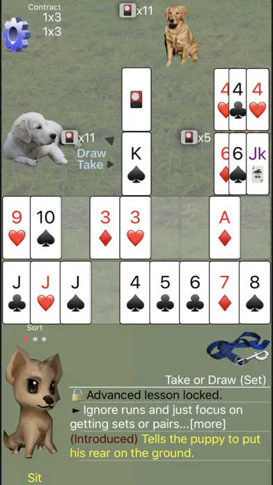 K9 Shanghai Rum: Phase Rummy स्क्रीनशॉट