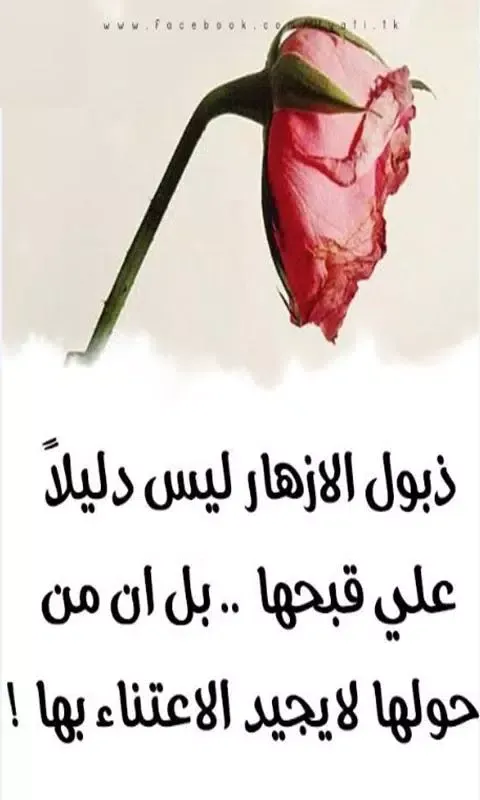 Ảnh chụp màn hình của كلمات تهز المشاعر