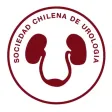 43 Congreso de Urologia