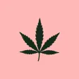 Expo Cannabis Argentina